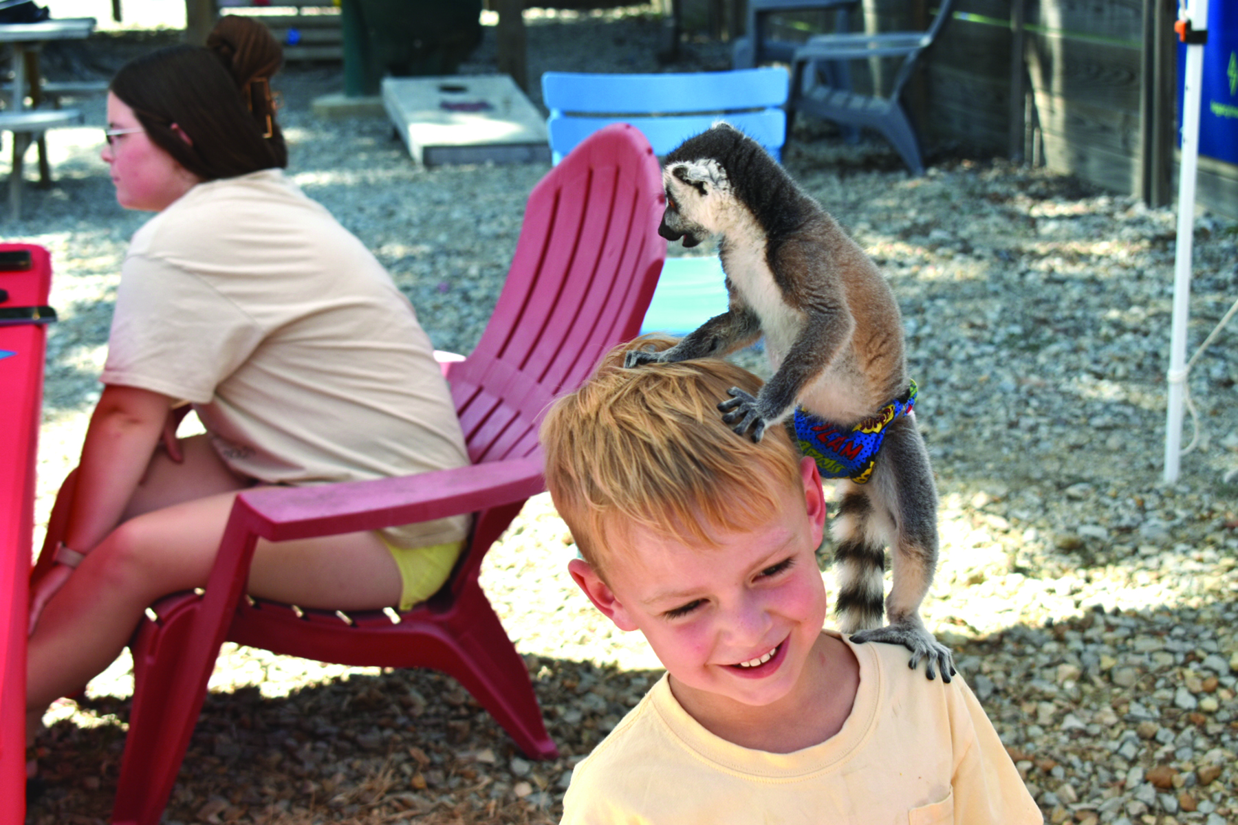 Lollies & Lemurs at Huntington Square